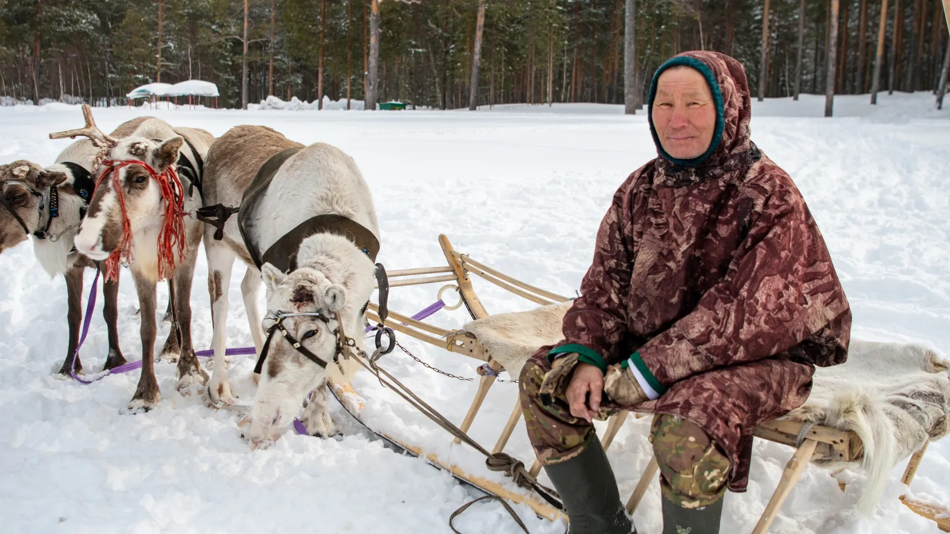 Фото: Юрий Здебский / Ямал-Медиа