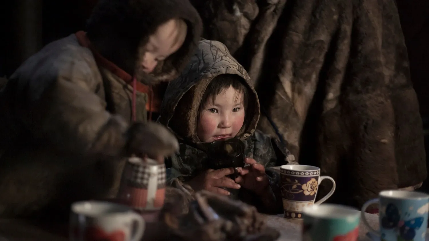 Фото: evgenii mitroshin / shutterstock.com / Fotodom