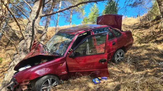 Фото: пресс-служба ГИБДД Тюменской области