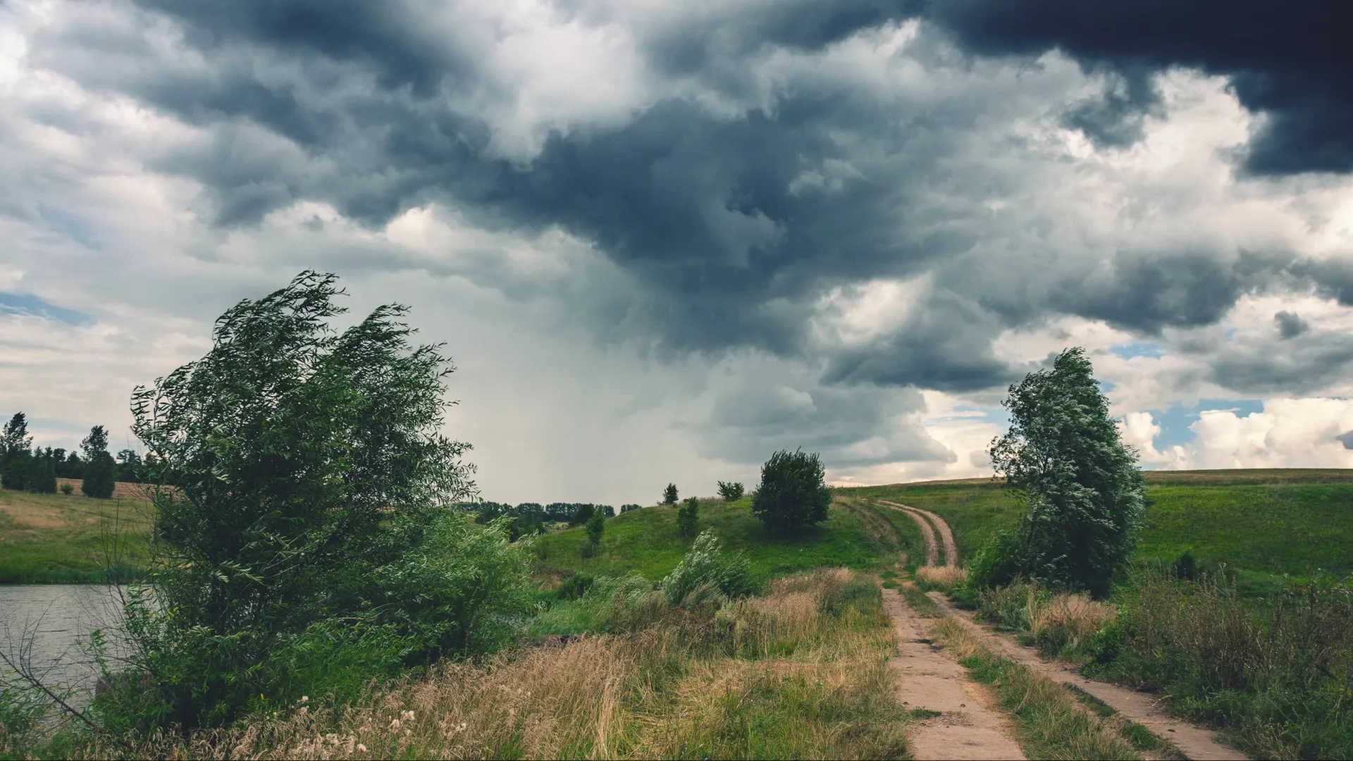 Фото: Valeriy Boyarskiy / Shutterstock / Fotodom