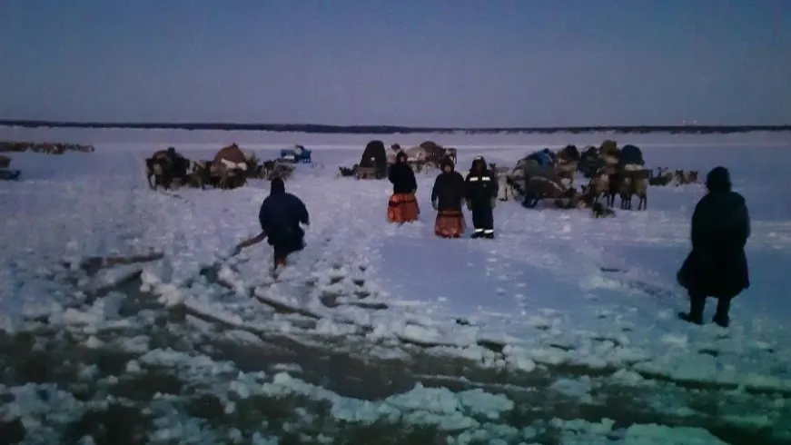 Четыре человека на оленьей упряжке провалились в наледь. Фото: «Ямалспас»