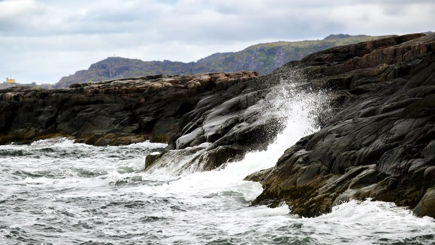 Фото: предоставлено из личного архива Андрея Понамарёва