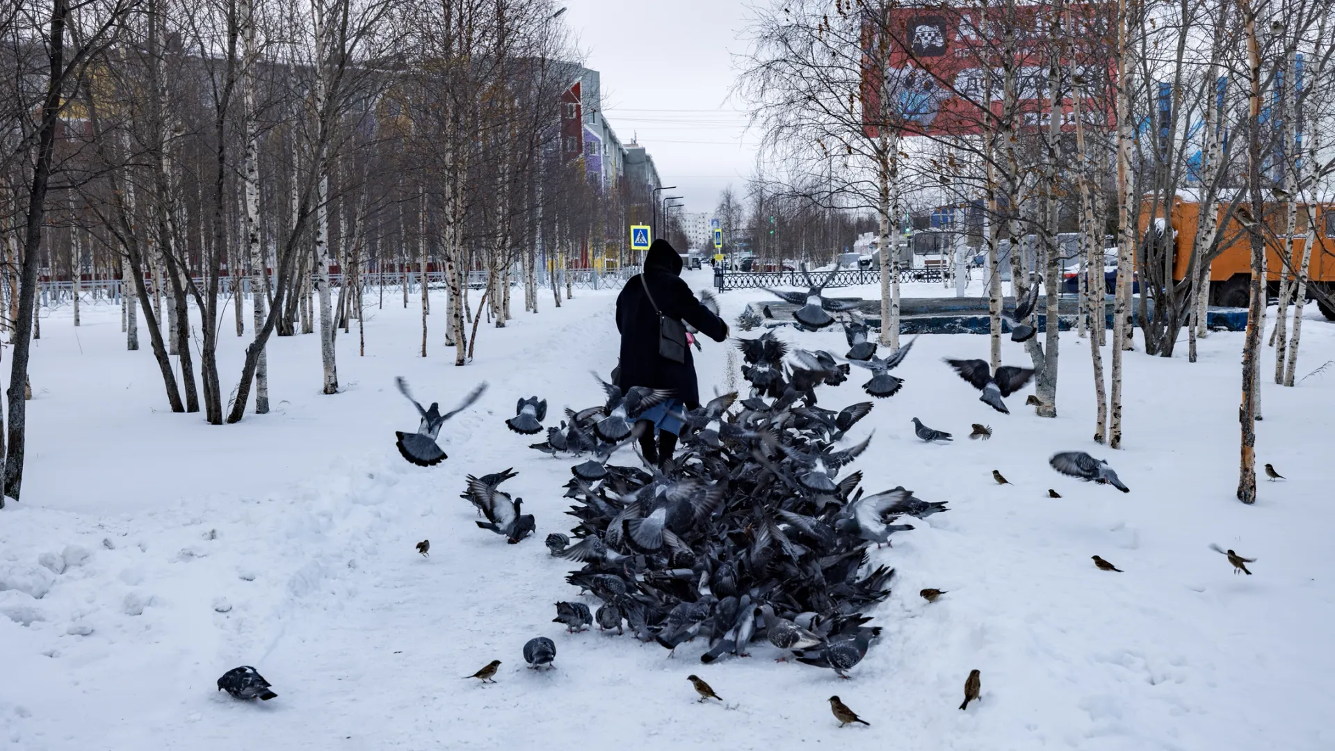 Фото: Сергей Зубков / Ямал-Медиа