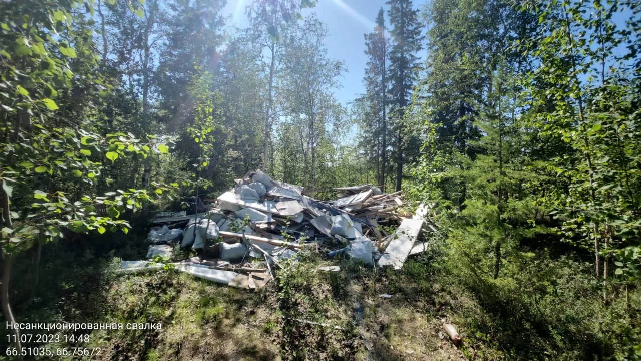 До полигона ТБО оставались считаные километры. Фото: t.me/regoper_tko_yanao