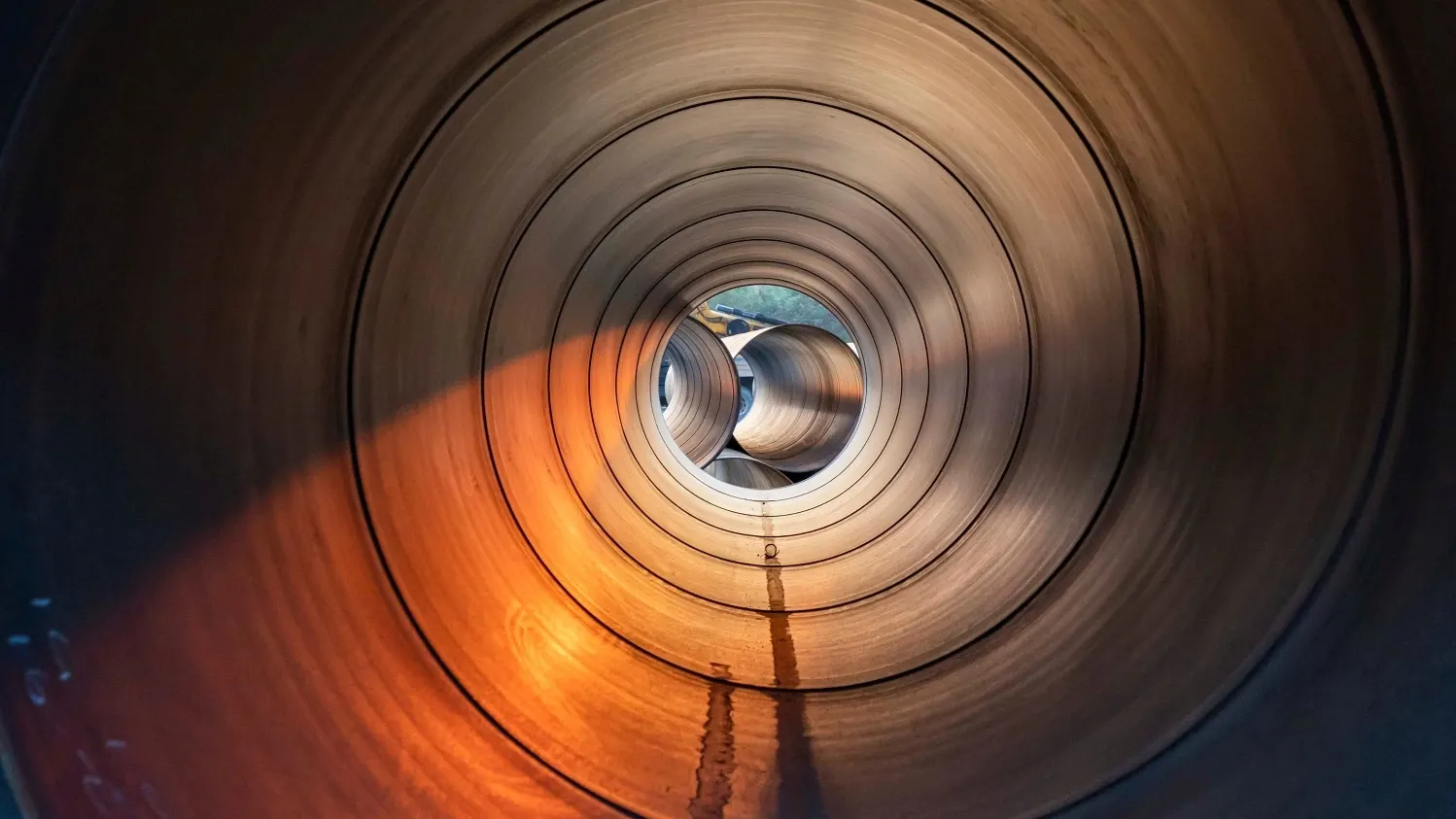 Фото: stocktr / shutterstock.com