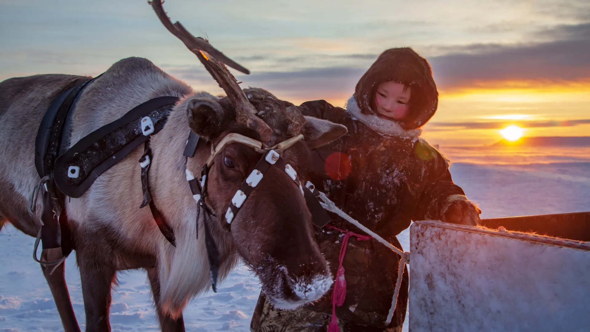 Фото: evgenii mitroshin / Shutterstock / Fotodom