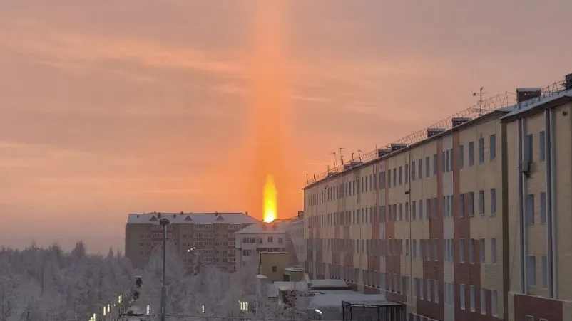 Фото: телеграм-канал Марины Тресковой / t.me/treskova_ma