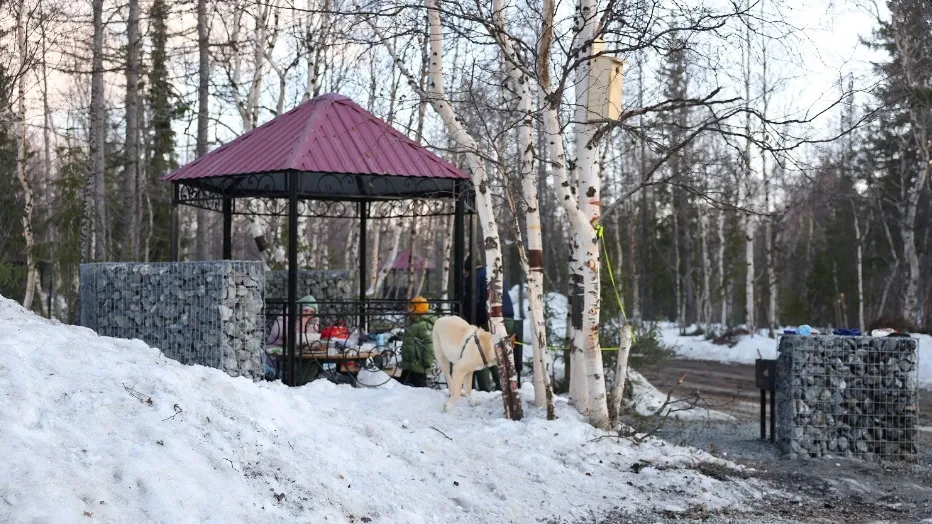 Салехардцы сами голосовали за обустройство беседок для пикников в самом популярном месте — у переправы и скульптуры «Мамонт». Фото: Андрей Ткачёв / Ямал-Медиа»