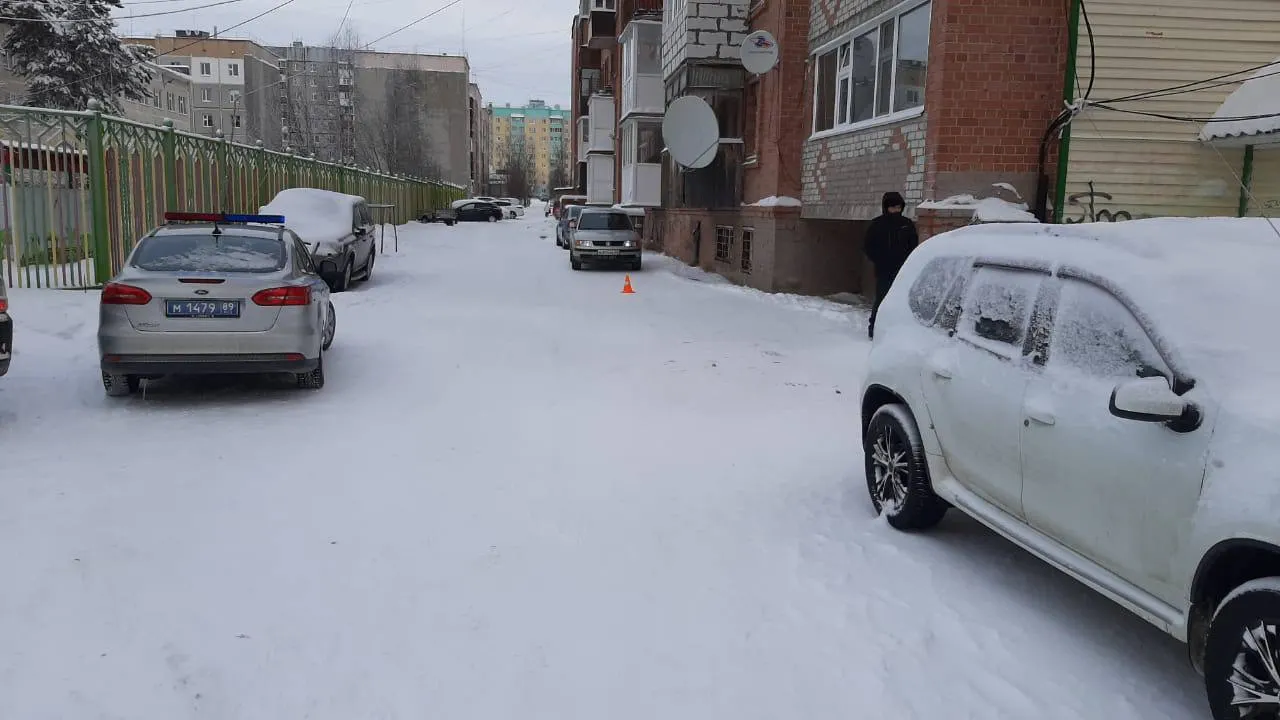 Фото: предоставлено пресс-службой ОГИБДД УМВД России по ЯНАО