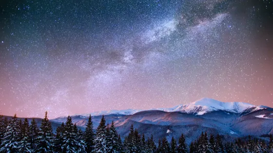 Фото: Standret / shutterstock.com