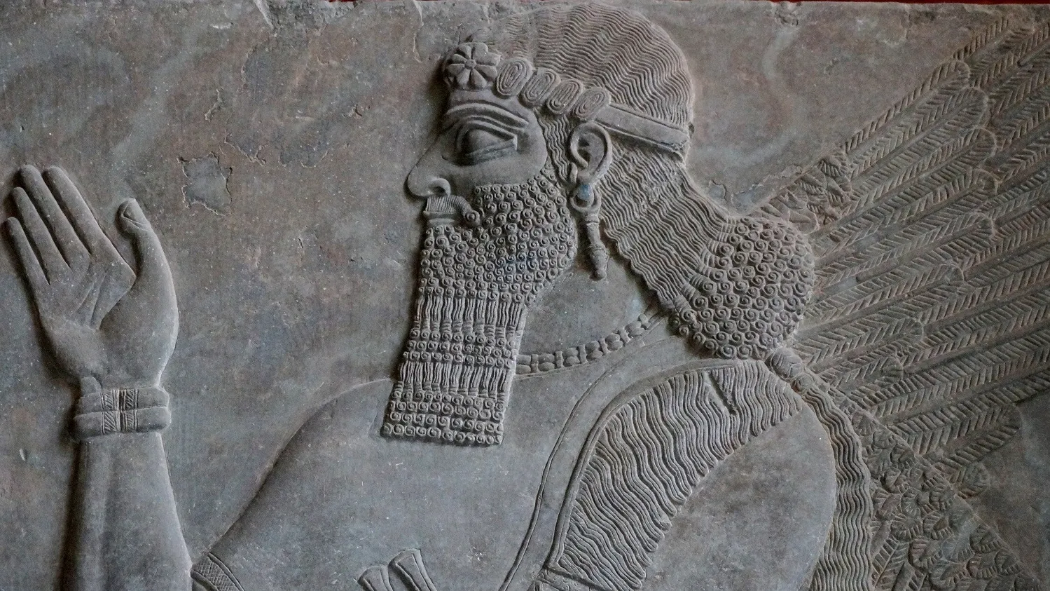 Фото: EQRoy/Shutterstock/Fotodom