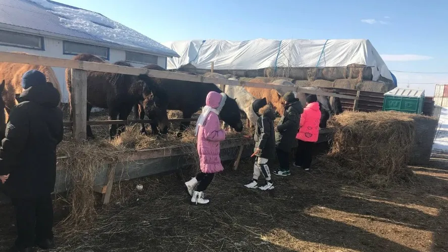 Фото: Федерация иппотерапии и адаптивного конного спорта ЯНАО