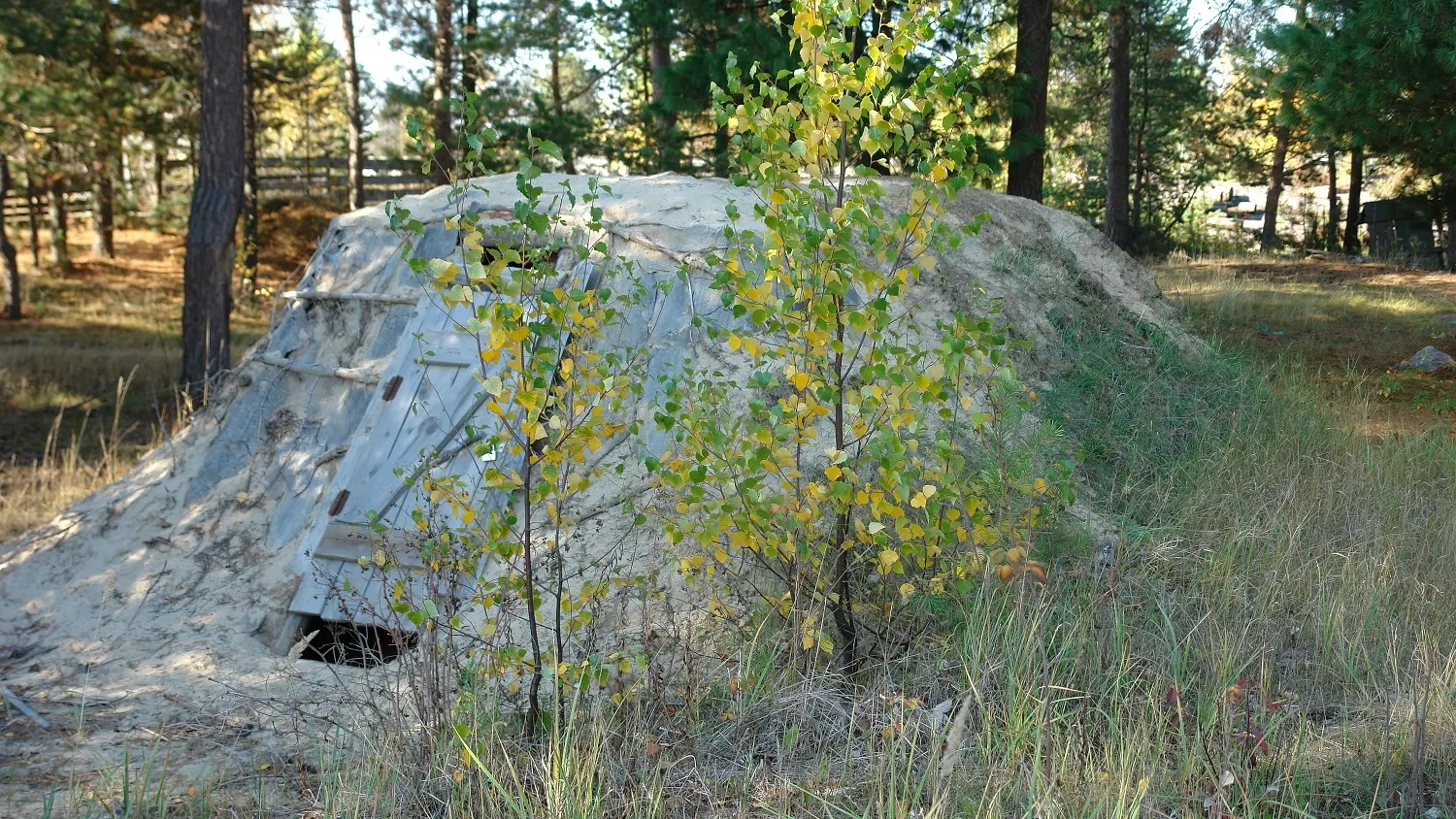 Селькупская полуземлянка. Фото: предоставлено Александром Кулишом