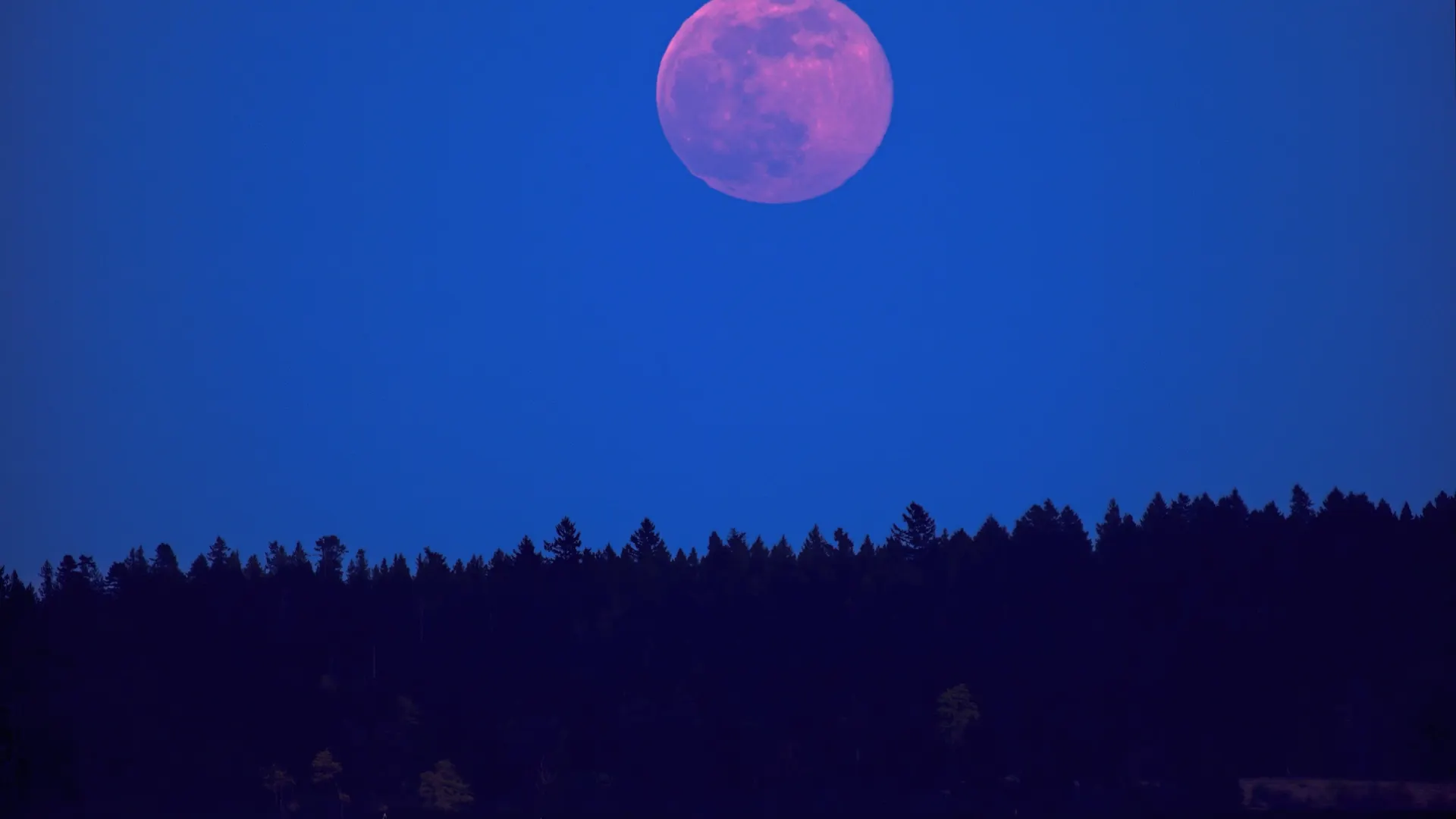 Фото: pr2is/Shutterstock/Fotodom