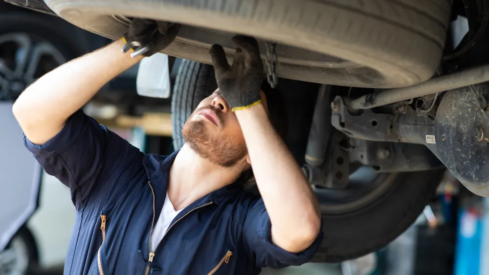 Фото: BigPixel Photo / Shutterstock.com