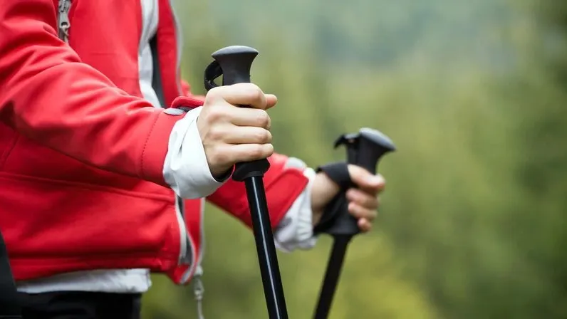 Фото: Blazej Lyjak / shutterstock.com / Fotodom