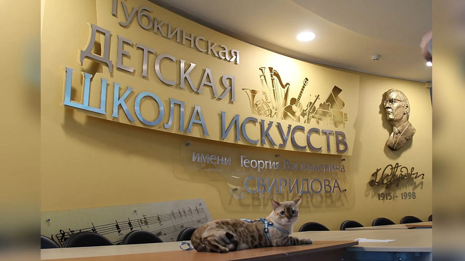 На концерт слушателей пускали только с питомцами. Фото: пресс-служба администрации Губкинского