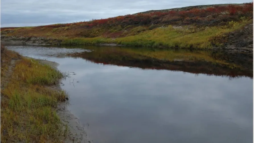 Река Мессояха. Фото: Владимир Нестеров / сайт энциклопедии «Вода России»