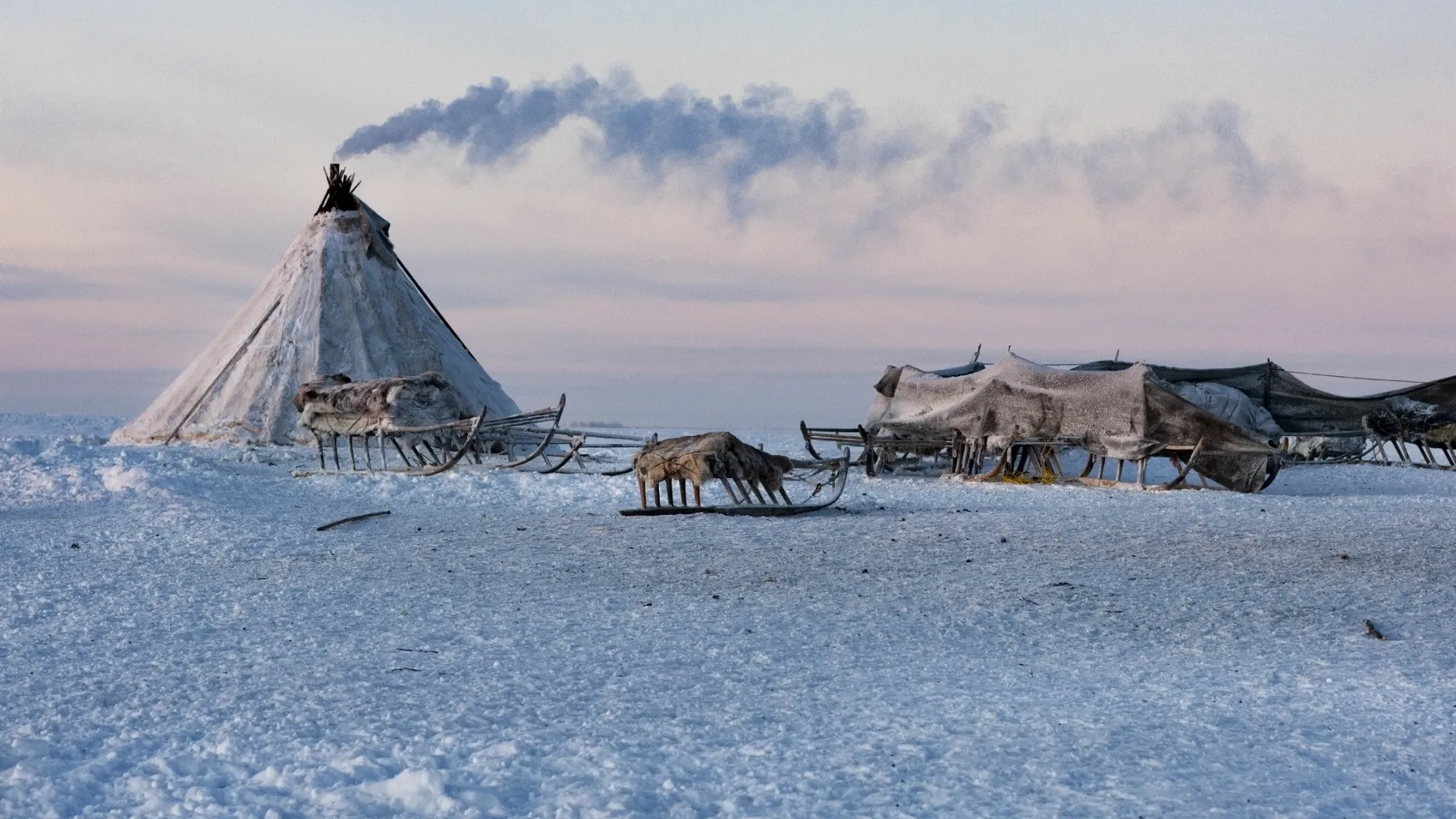 Фото: nenets/Shutterstock/Fotodom