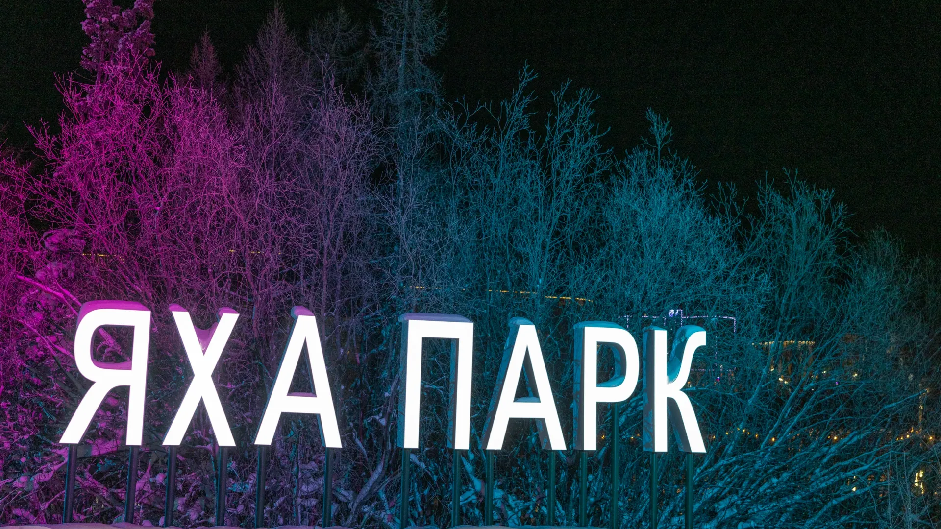 Фото: Фёдор Воронов / «Ямал-Медиа»