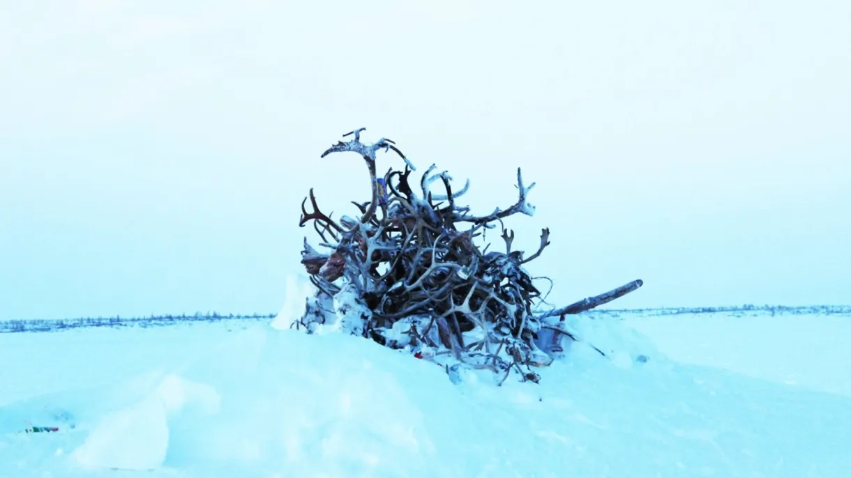 Сидяӈг: Марина Яройʼ тадтавы