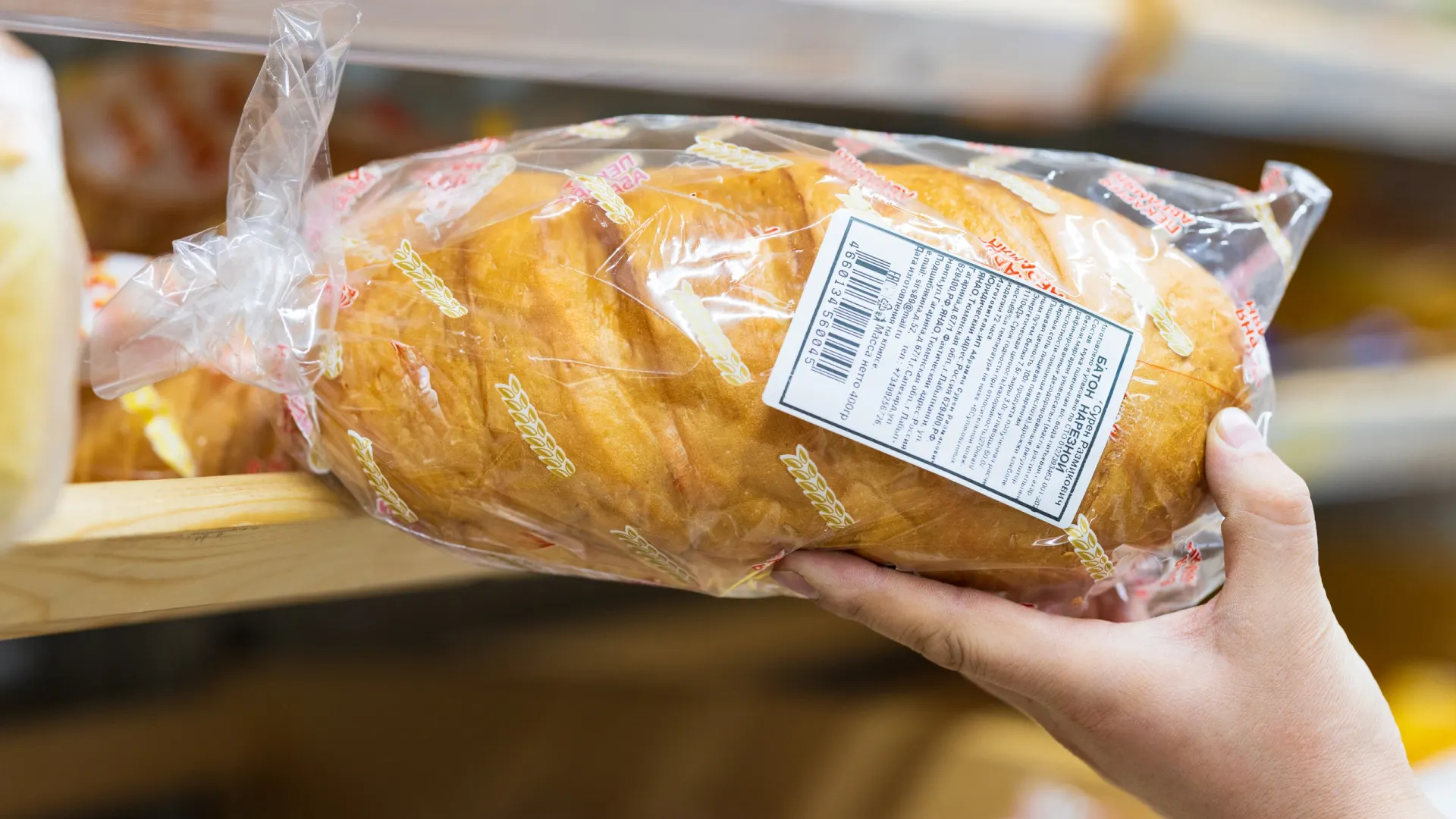 Фото: Фёдор Воронов / «Ямал-Медиа»