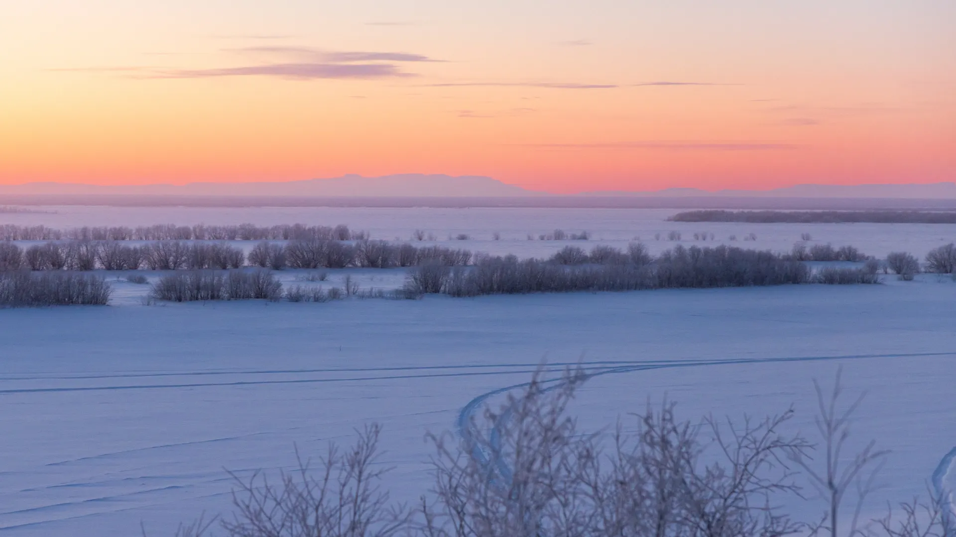 Фото: Фёдор Воронов / «Ямал-Медиа»
