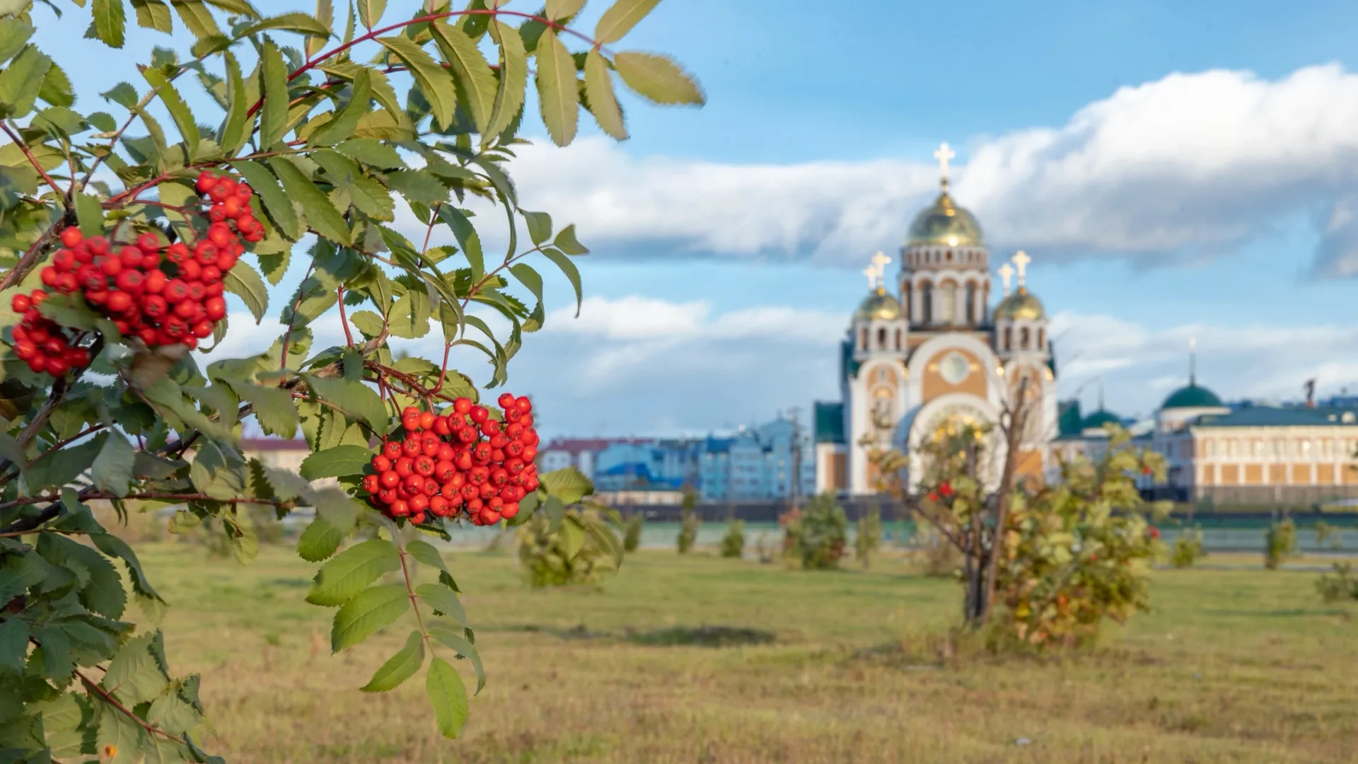 Фото: Федор Воронов / "Ямал-Медиа"