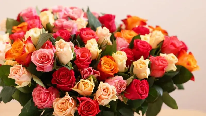 Фото: New Africa/Shutterstock/Fotodom