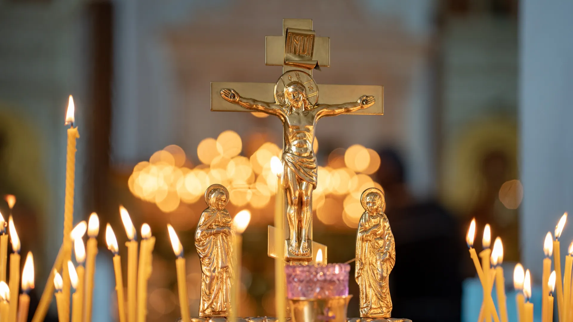 Фото: Сергей Зубков / АНО «Ямал-Медиа»