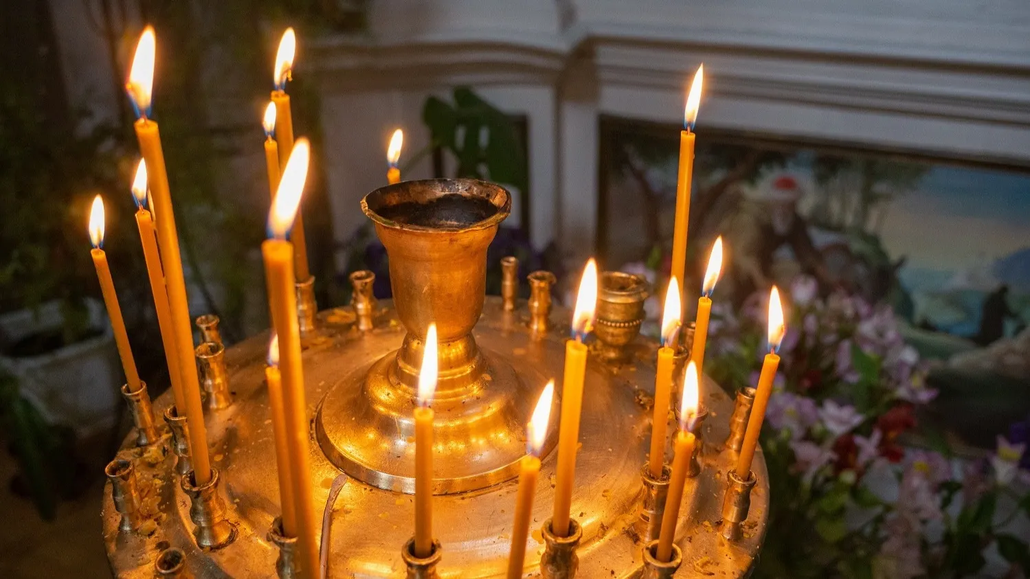 Фото: Yuichi Mori Photography/Shutterstock/Fotodom