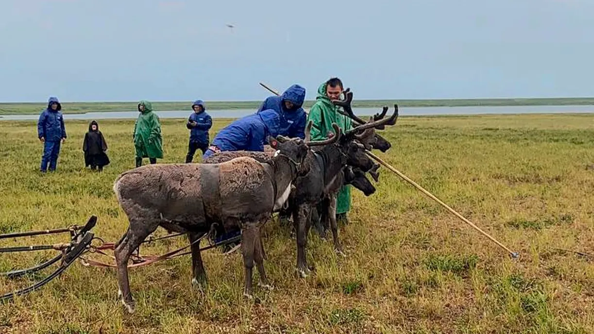 Фото: Татьяна Сэротэтто