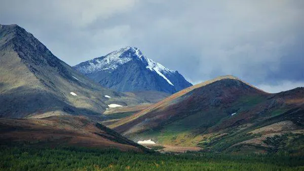 Осенний динозавр.jpg