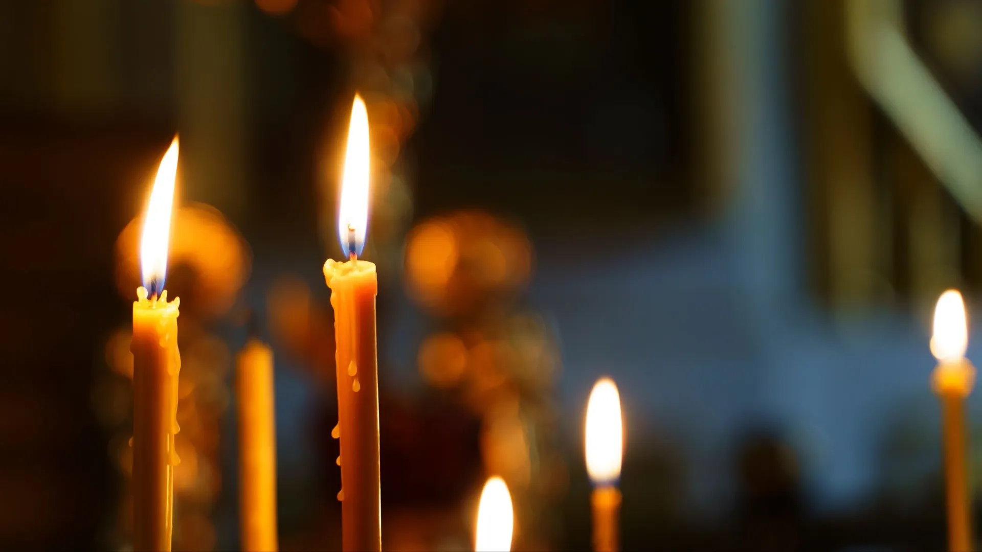 Фото: vovidzha / shutterstock.com / Fotodom