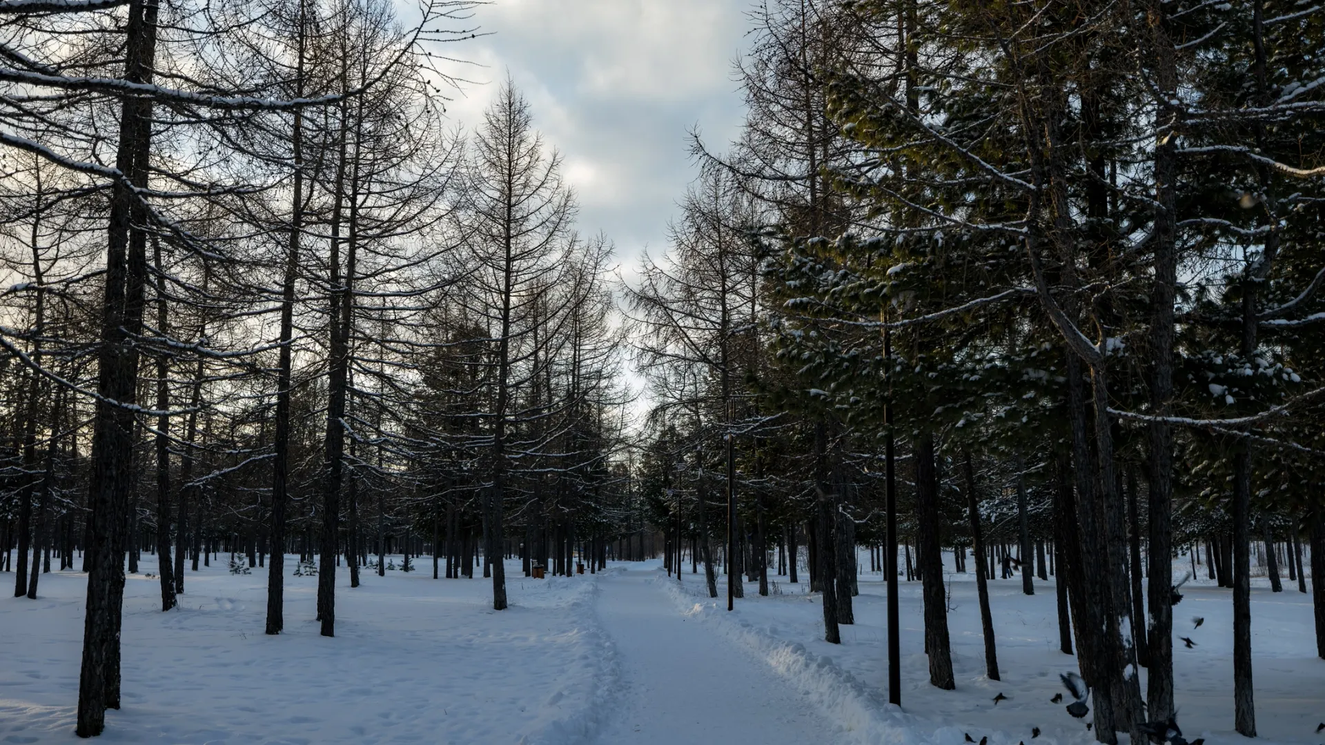 Фото: Сергей Зубков / «Ямал-Медиа»