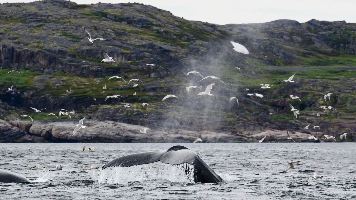Фото: предоставлено из личного архива Андрея Понамарёва