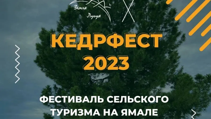 Кедровый фестиваль подарит много незабываемых впечатлений. Фото: vk.com/kedr_fest2023