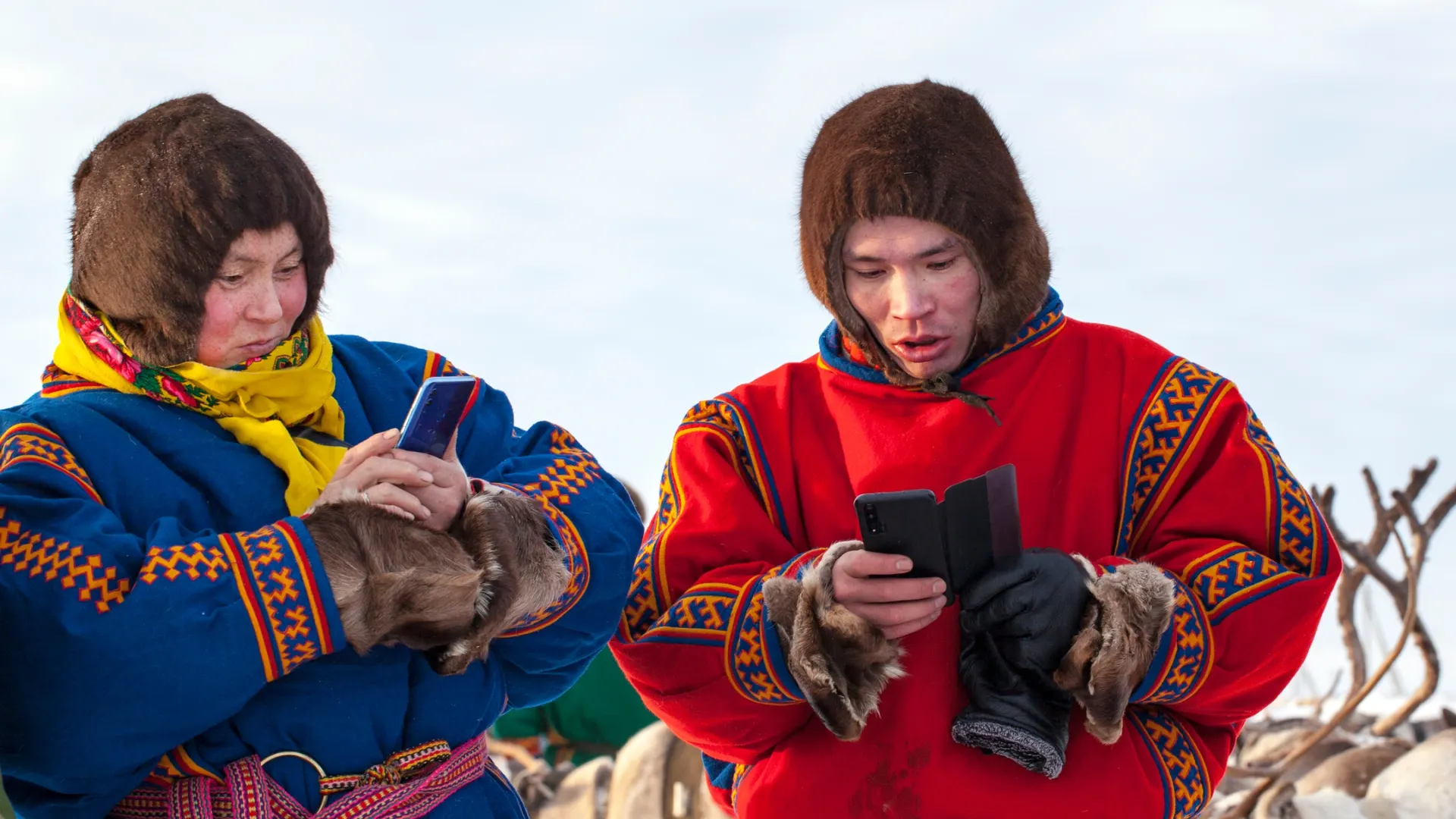 Фото:  evgenii mitroshin / Shutterstock / Fotodom