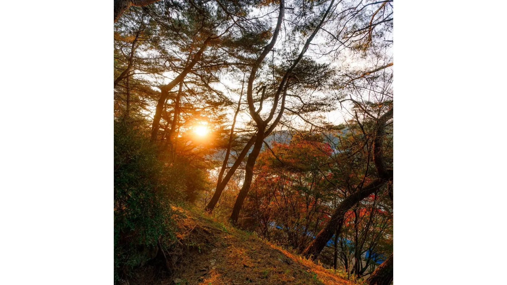 Фото: предоставлено из личного архива Ильи Меркулова