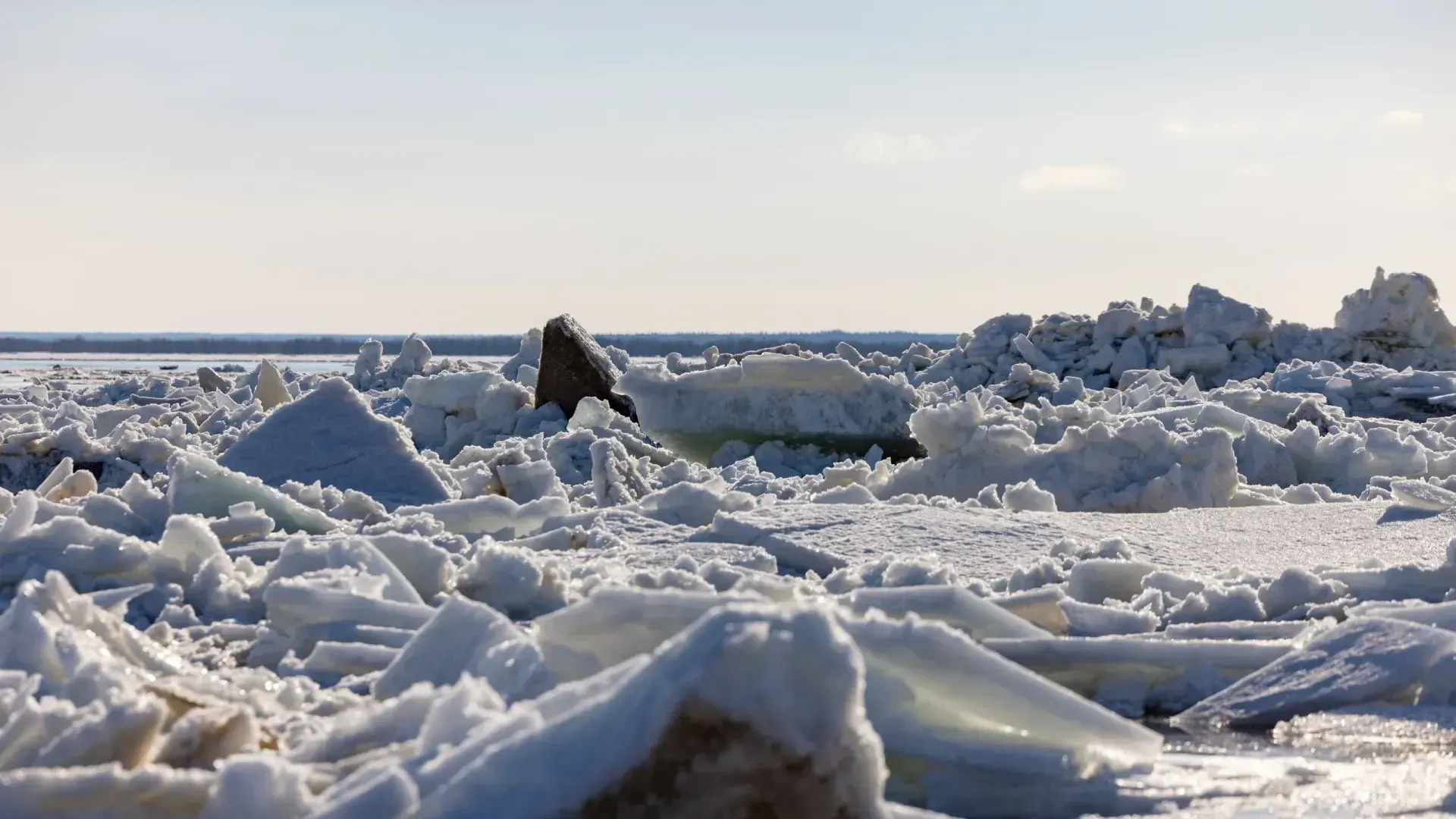 Фото: Сергей Зубков / «Ямал-Медиа»