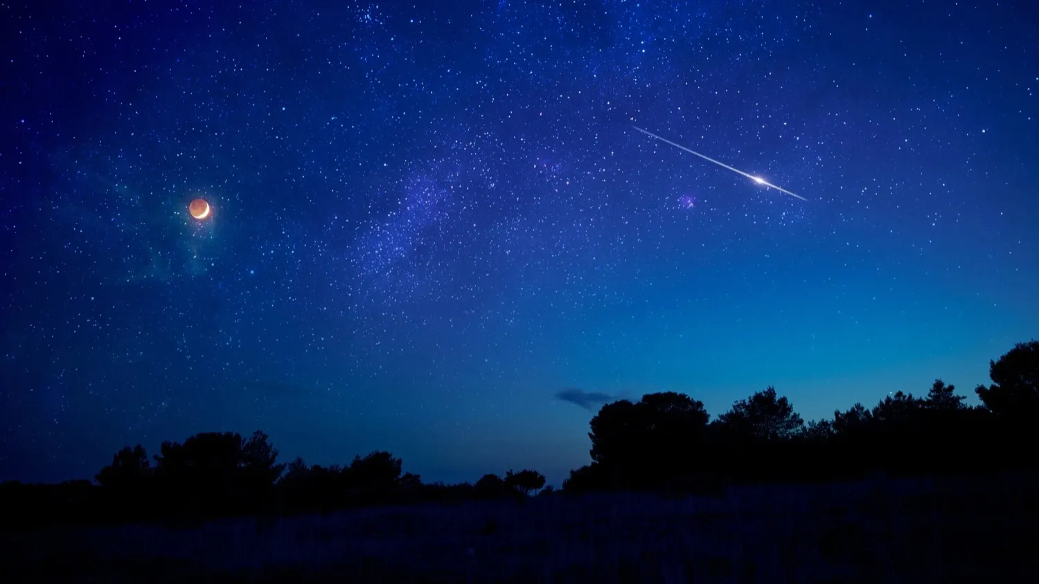 Фото: AstroStar / shutterstock.com
