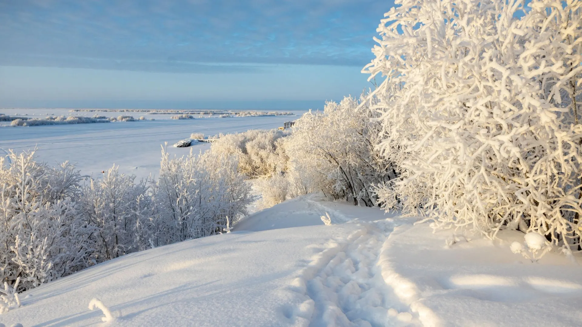 Фото: Фёдор Воронов / "Ямал-Медиа"