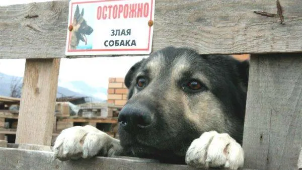 Фото: КРАСНЫЙ СЕВЕР