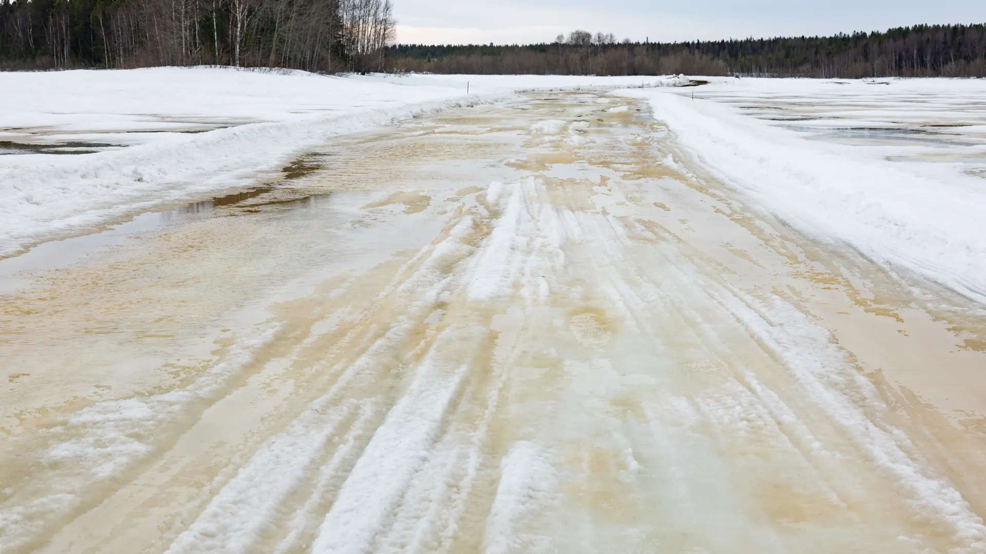 Фото: Александр Чирва / «Ямал-Медиа»