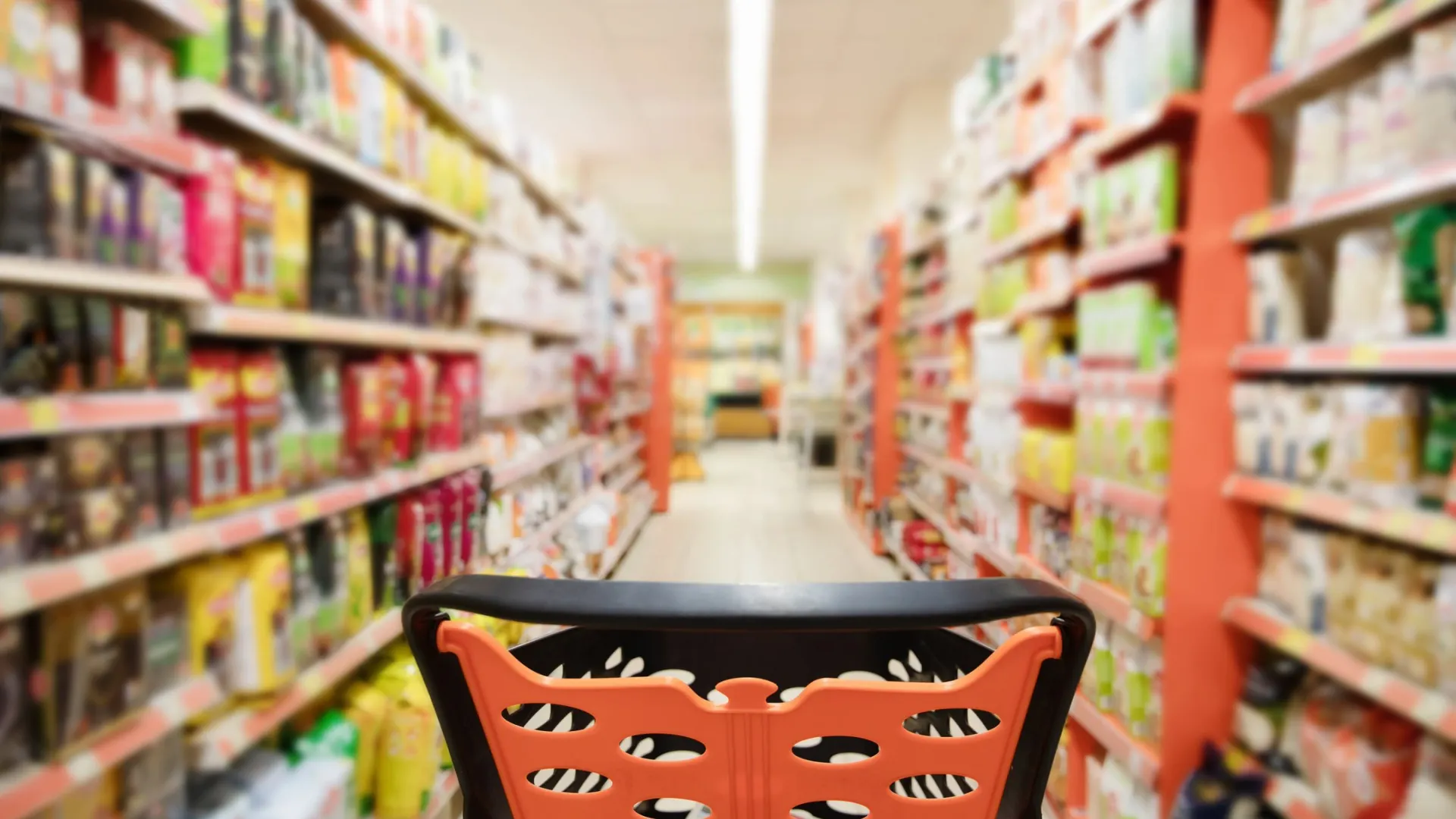 Фото: Iryna Dincer/Shutterstock/Fotodom