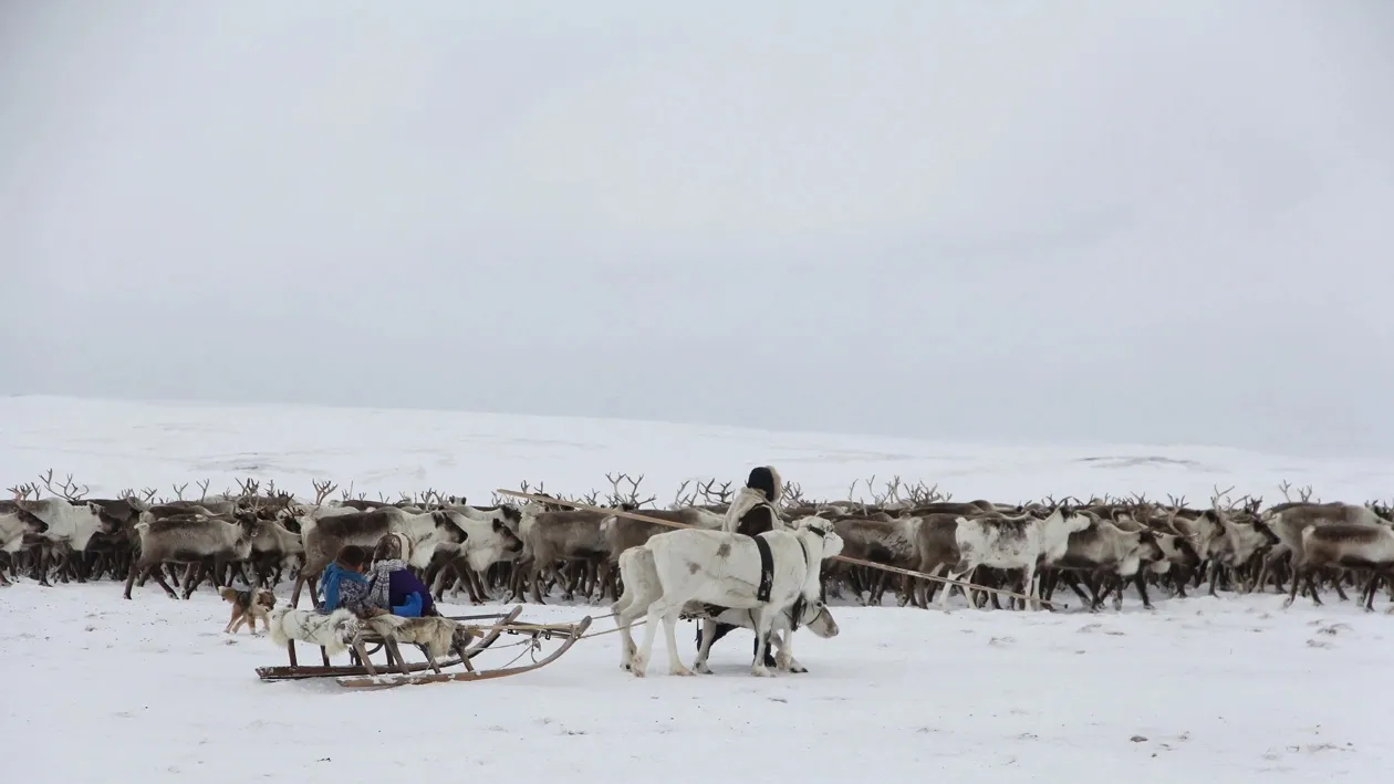 Сидяӈг: Марина Яр' тадтавы