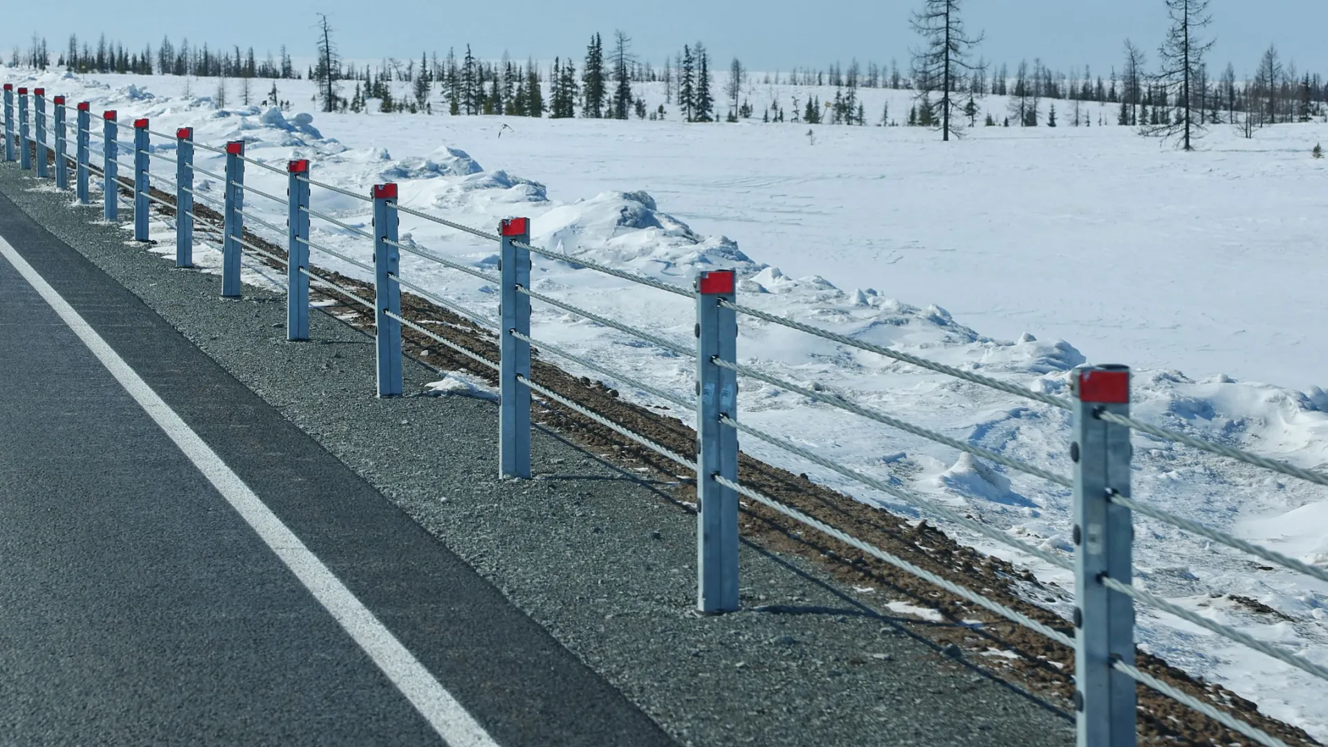 Фото: Андрей Ткачёв/«Ямал-Медиа»