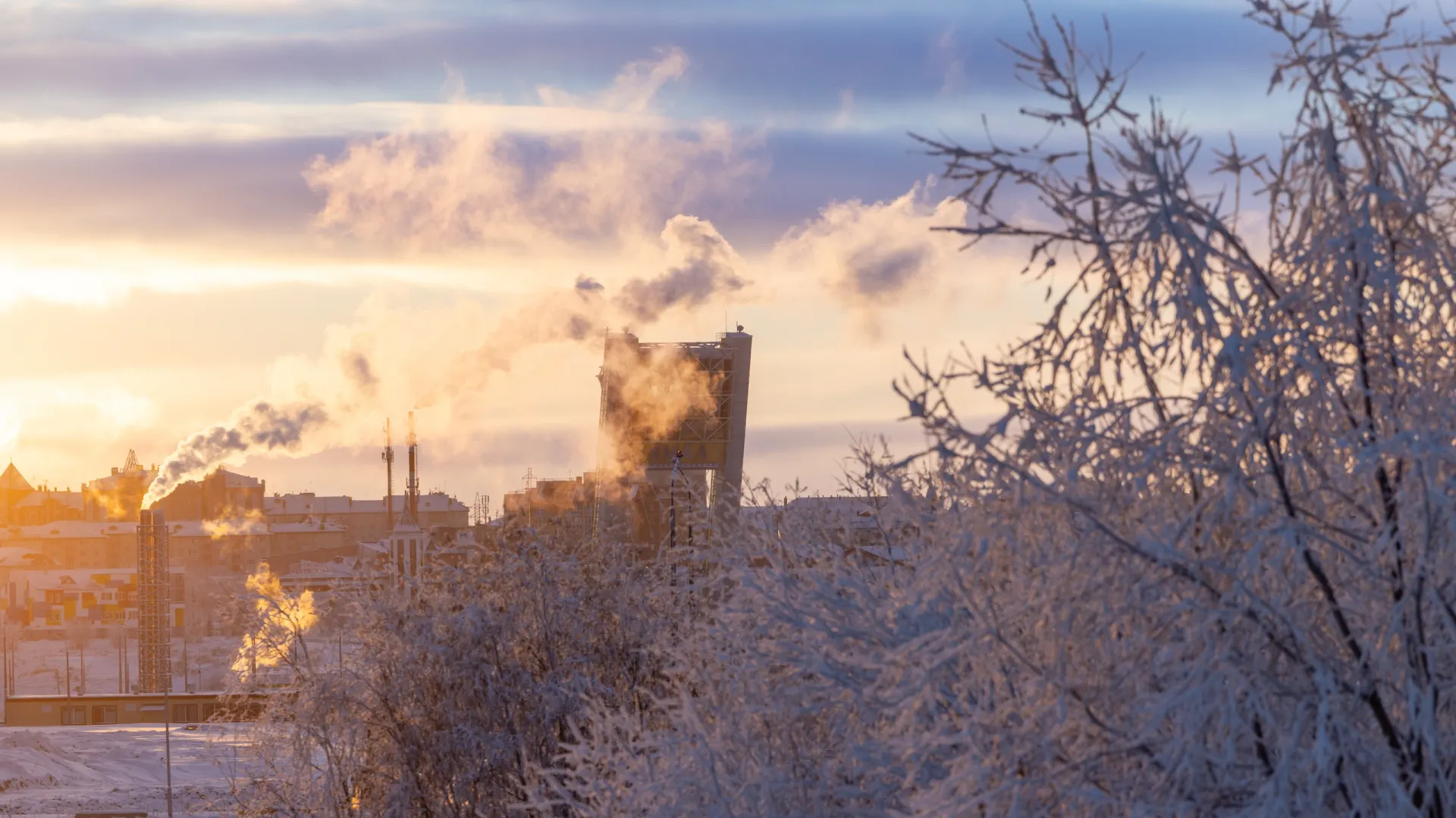 Фото: Фёдор Воронов / «Ямал-Медиа»