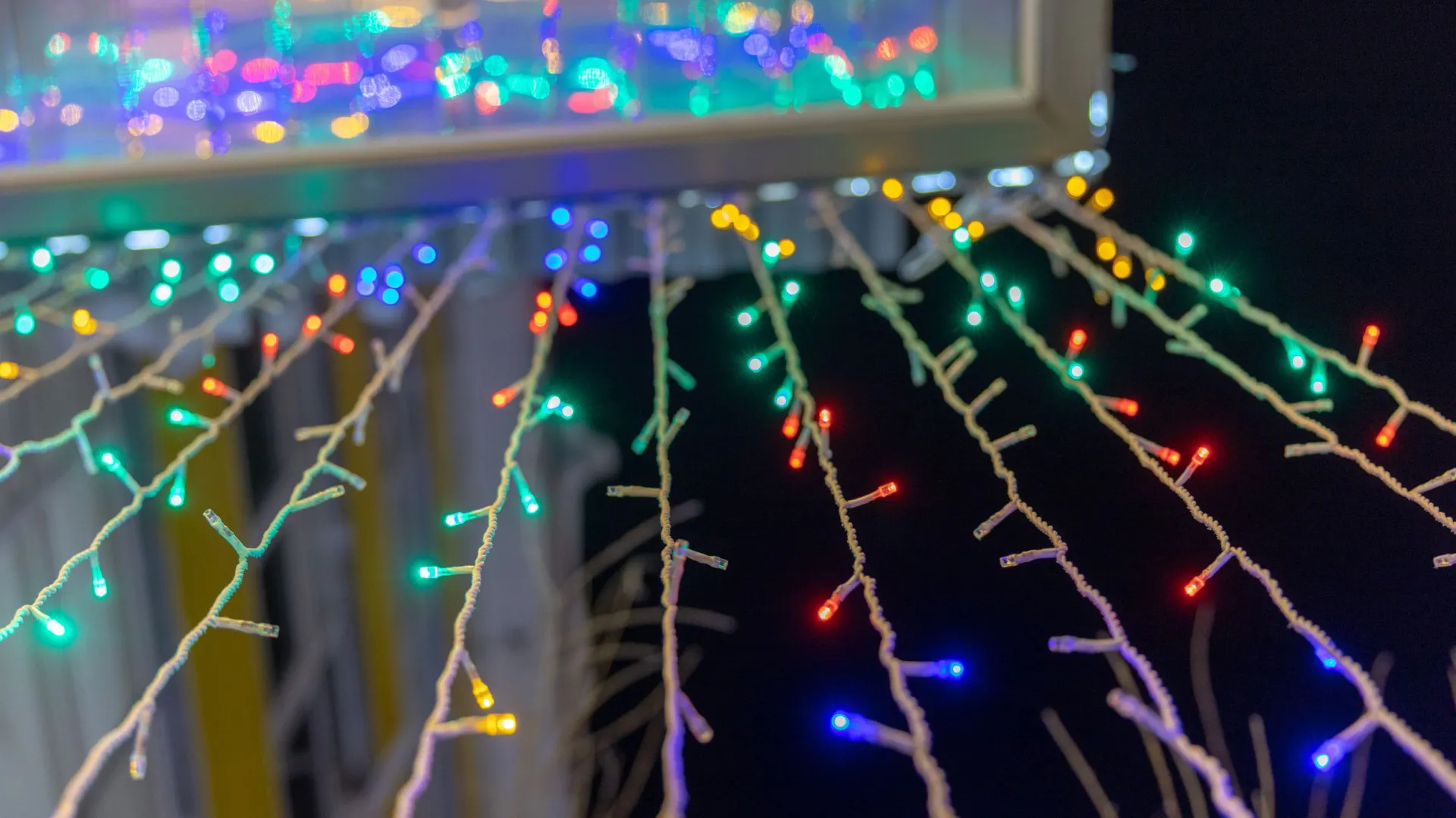 Фото: Фёдор Воронов/«Ямал-Медиа»