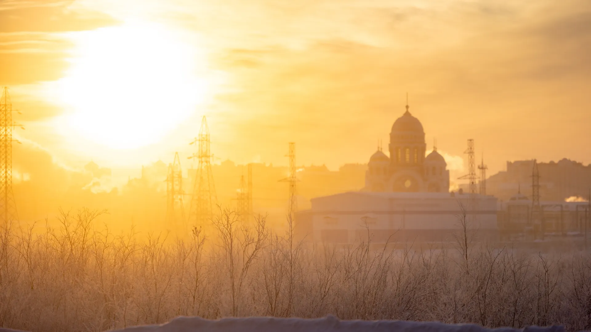 Фото: Сергей Зубков / «Ямал-Медиа»